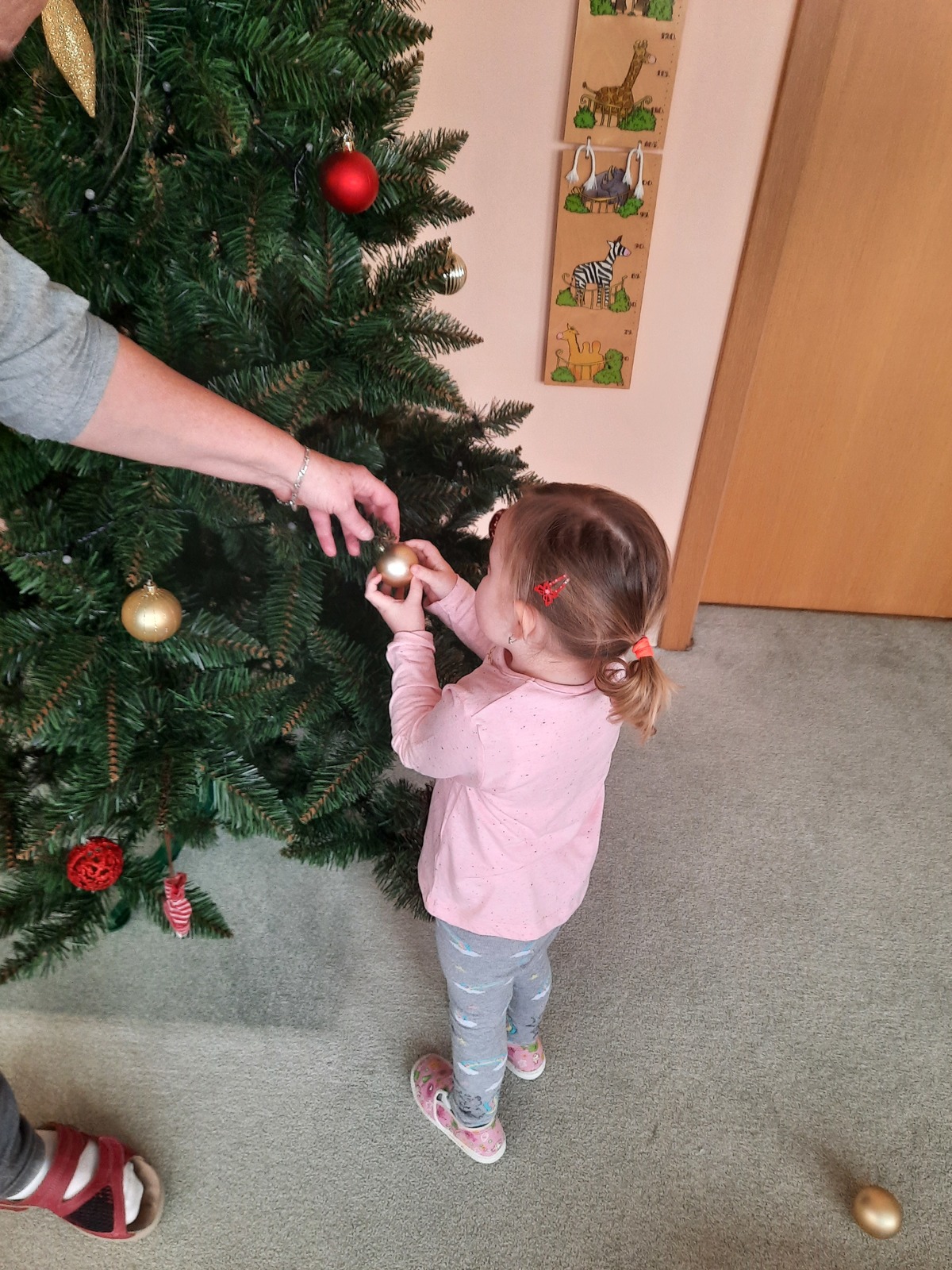20201214_093111.jpg